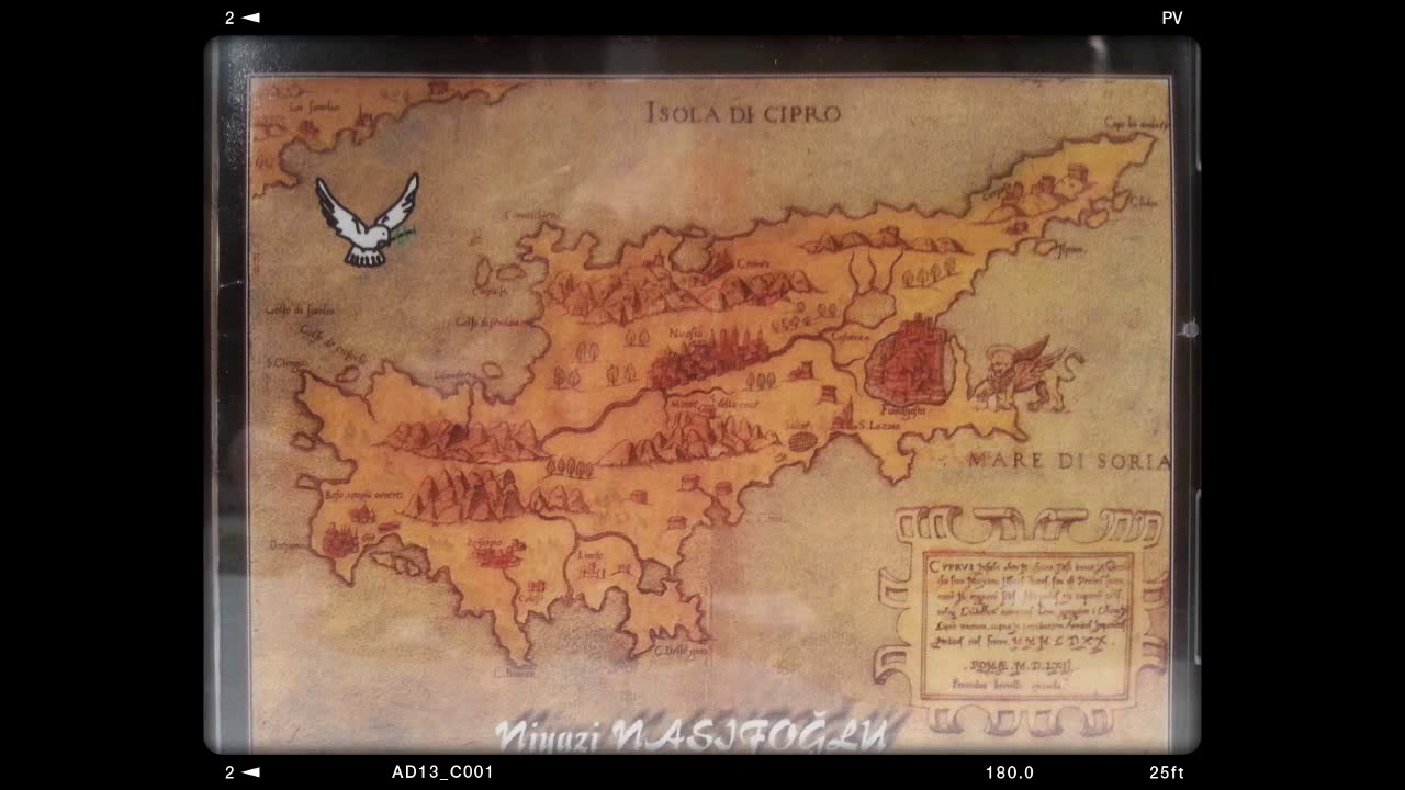 ABOHOR ZEYBEĞİ