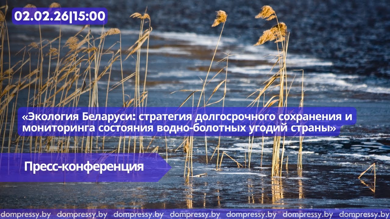 Экология Беларуси: стратегия долгосрочного сохранения и мониторинга состояния водно-болотных угодий