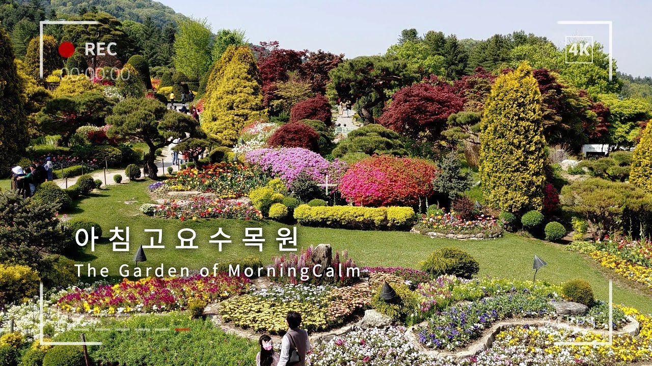 A Korean spring attraction that I want to introduce to my foreign friend