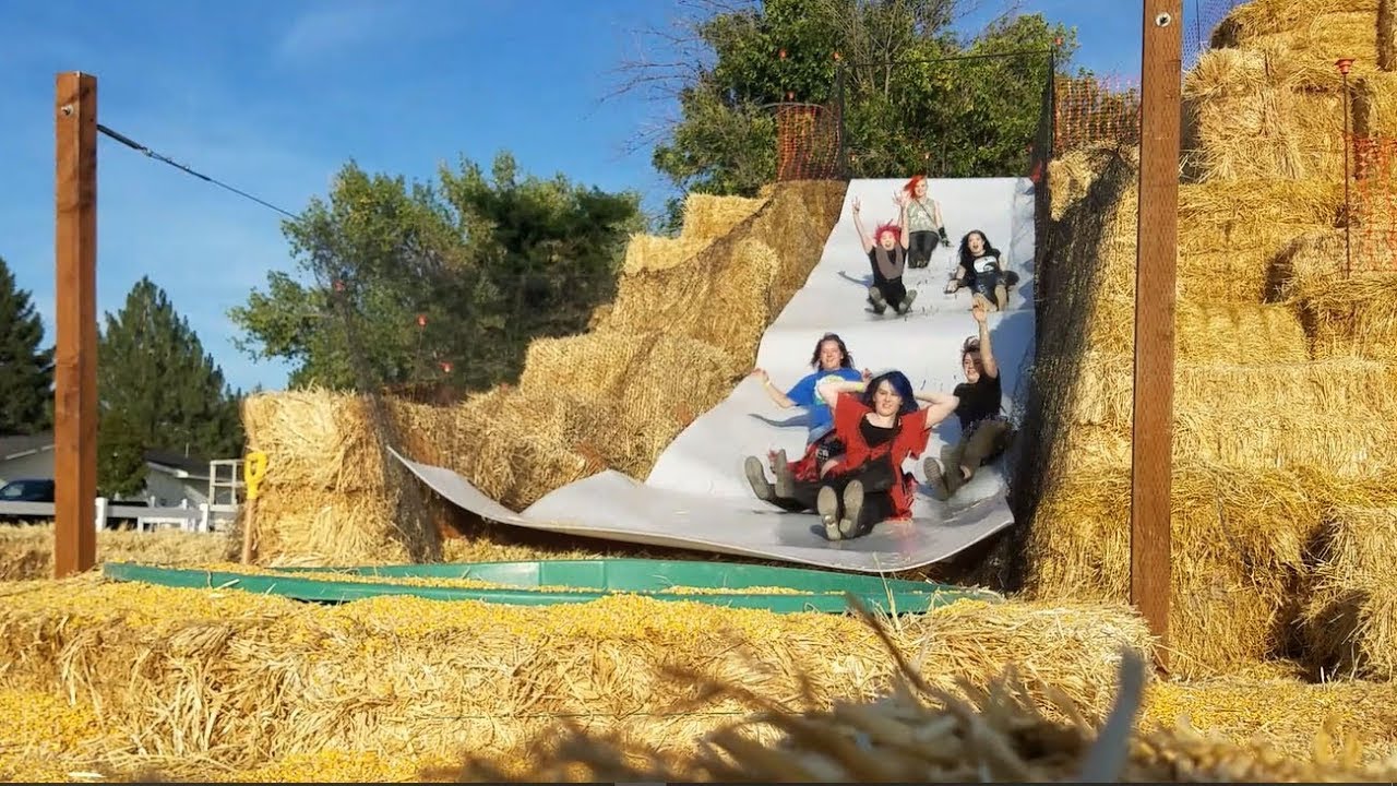 Presto Productions: The Time We Went to a Pumpkin Patch