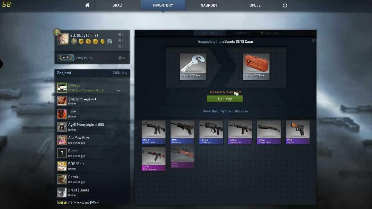 CS:GO PL Opening Box - Rare Special Item
