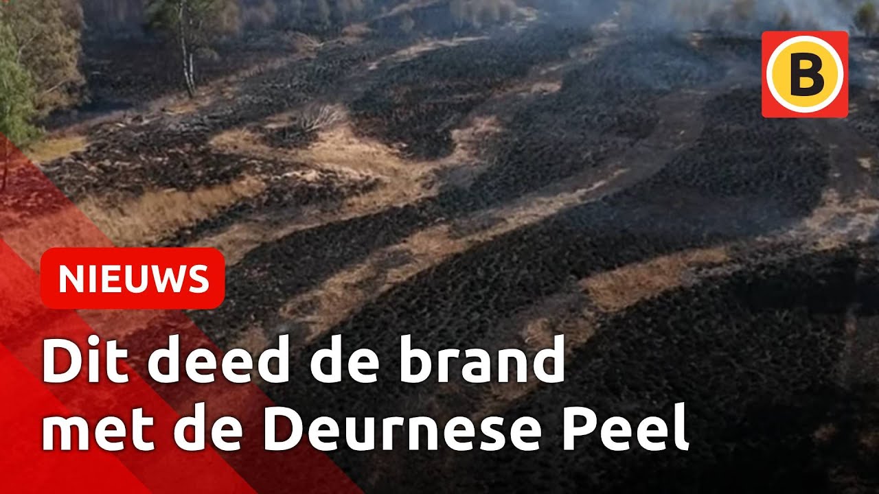 DRONEBEELDEN: Brand heeft natuur in Deurnese Peel volledig verwoest