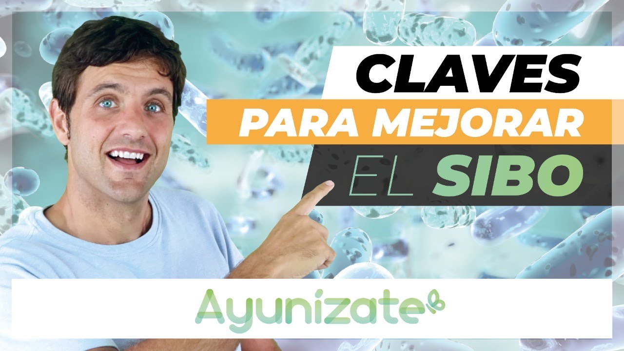 Claves para mejorar el SIBO