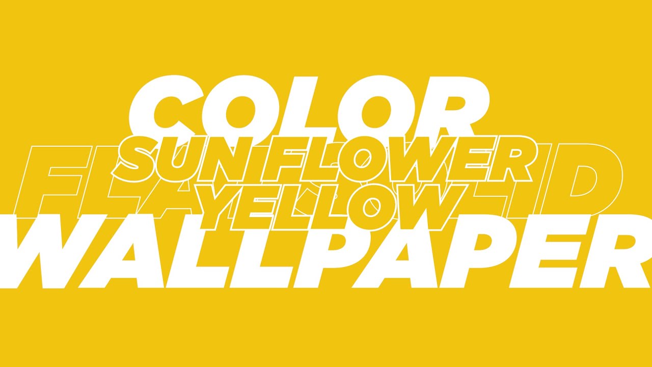 Sun Flower Yellow Flat Solid Color Wallpaper 1 Hour
