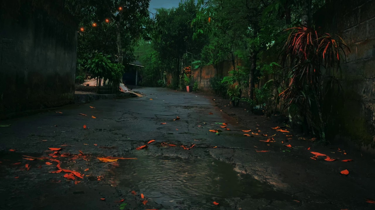 Soothing Rain to Relieve Stress and Improve Sleep Quality