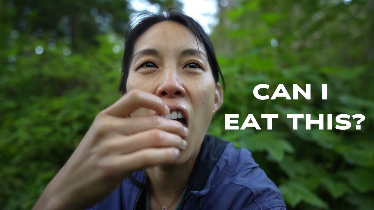 Solo Camping for 2 Nights (Foraging & Campfire Cooking)