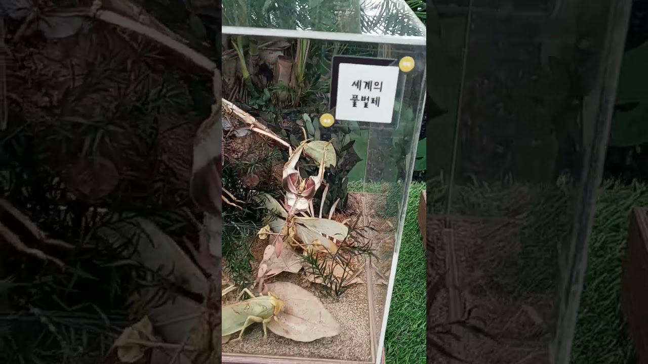 2026년 1월 4일
