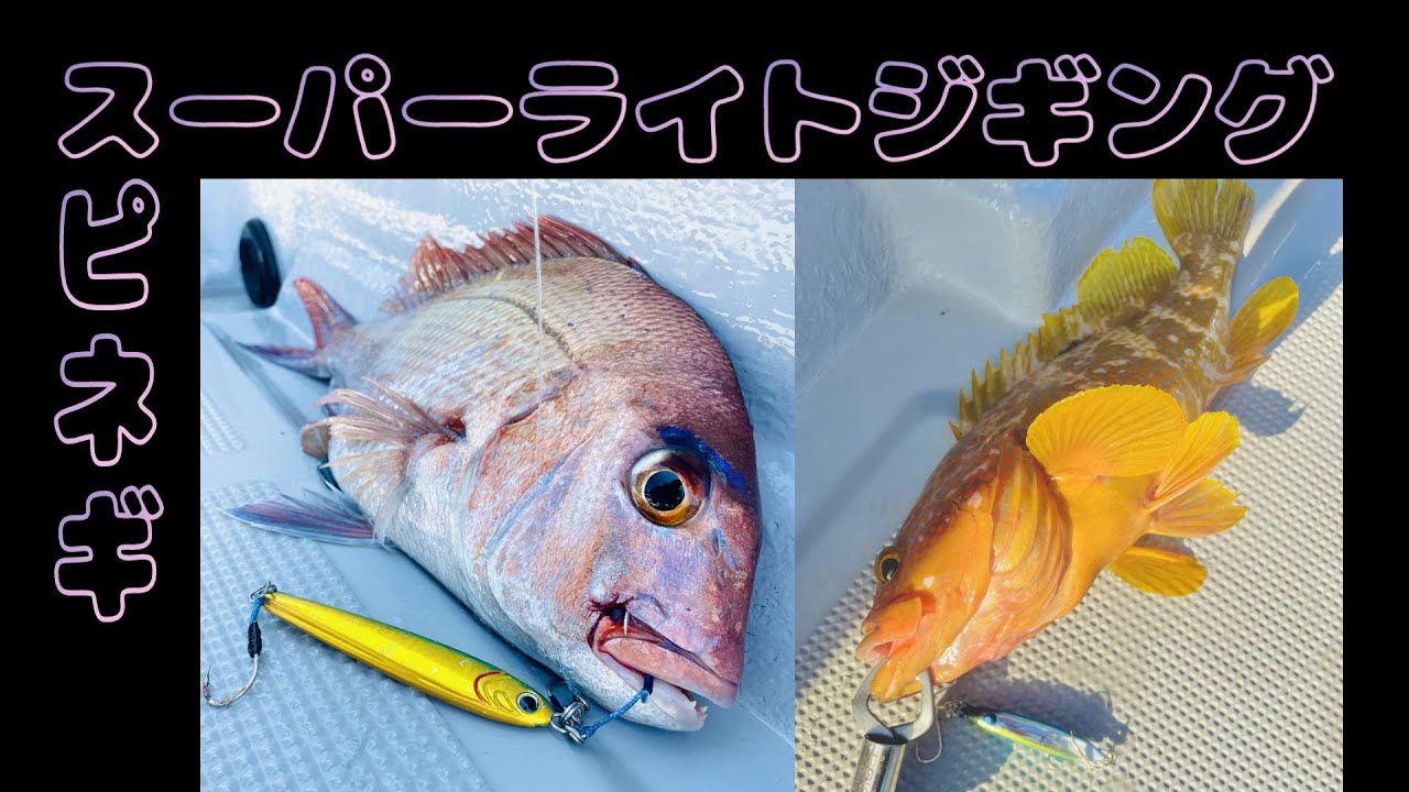 真夏の鳥取沖でSLJ＆スピネギゲーム！！ #スピネギ　#ジギング　#SLJ　#スーパーライトジギング