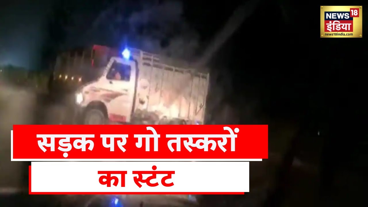 Gurugram News: फ़िल्मी अंदाज़ में भागे तस्कर, पुलिस ने गो तस्करों खदेड़कर पकड़ा