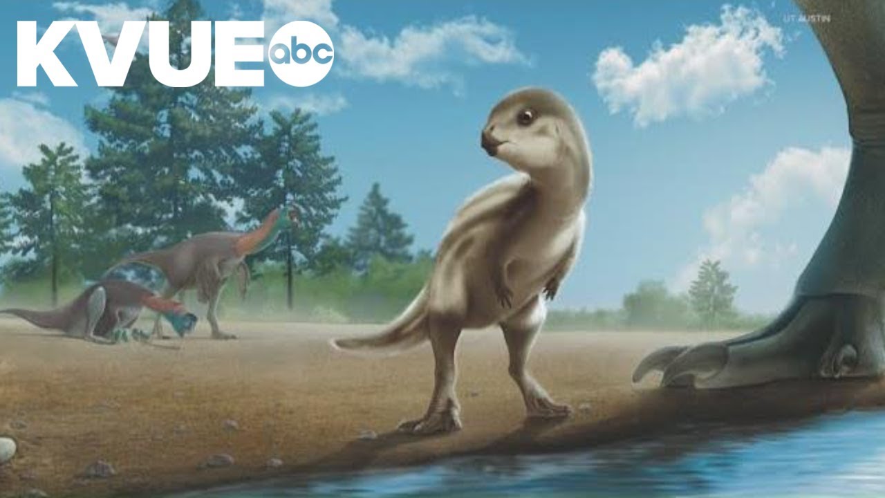 UT Austin researchers help identify new dinosaur species