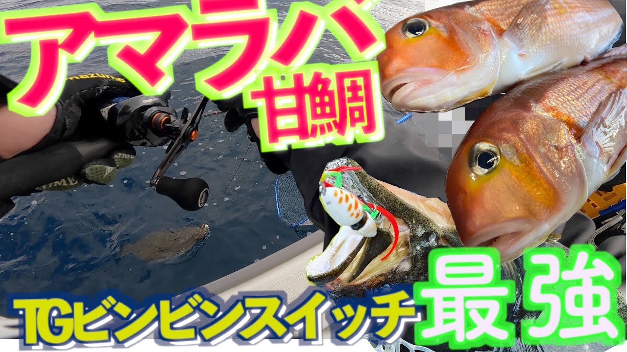 【アマラバ】甘鯛をビンビンスイッチで狙ったら想像以上の釣果が出た！日立の流行はアマダイ！