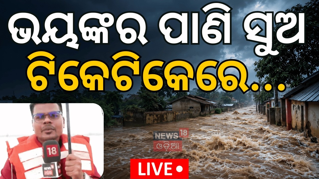 Live କେଉଁ ଅଞ୍ଚଳ ବିପଦରେ? Salandi River | Odisha Flood News | Flood Alert | Odisha Weather News