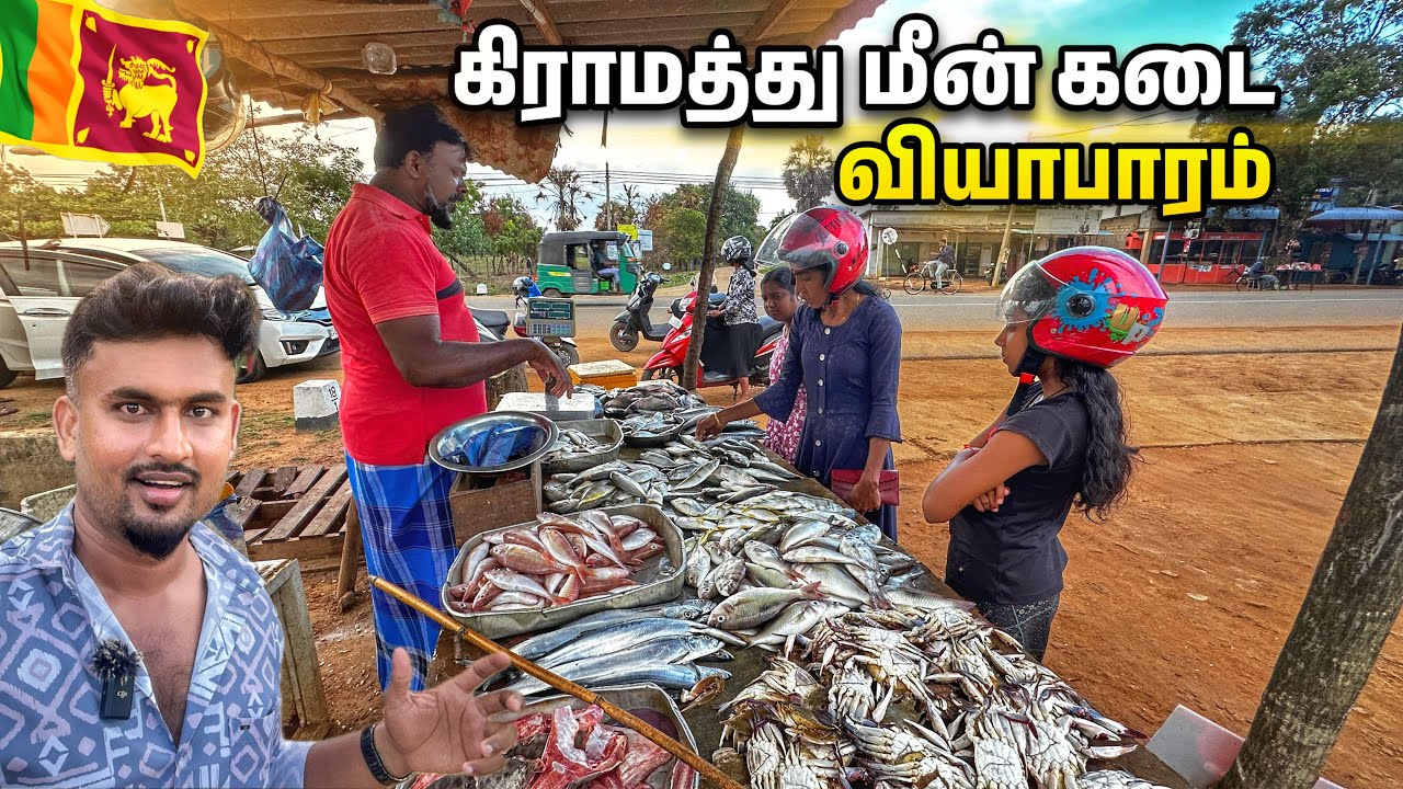 கிளிநொச்சி அழகிய மாலை நேர மீன் கடை | அதிகம் இலாபம் தரும் தொழில்