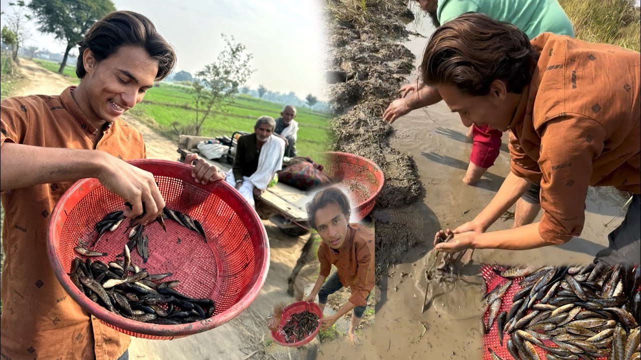 Aj Both Fish 🐠 Pakri