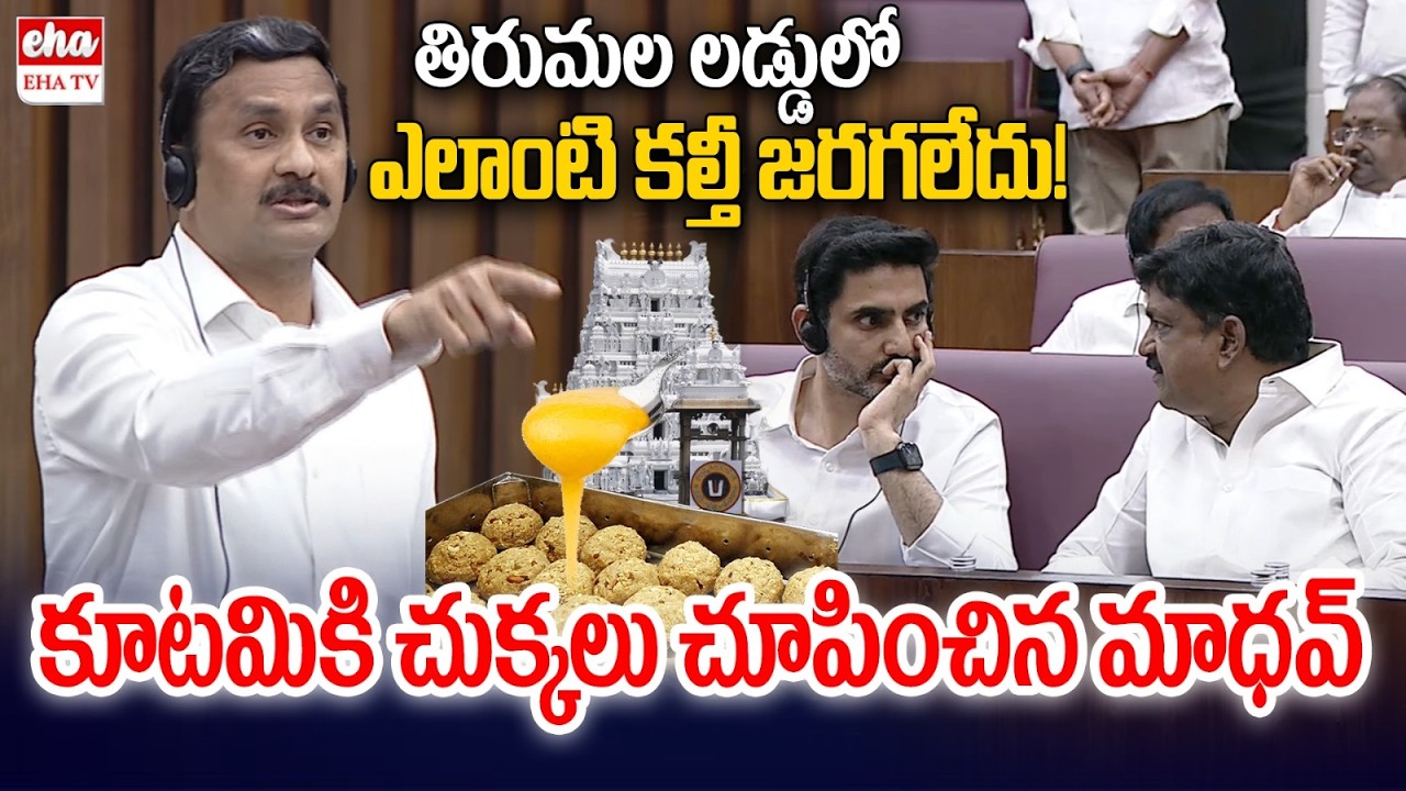 YCP MLC Madhava Rao Strong Counter to Minister Nara Lokesh In AP Legislative Council | EHA TV