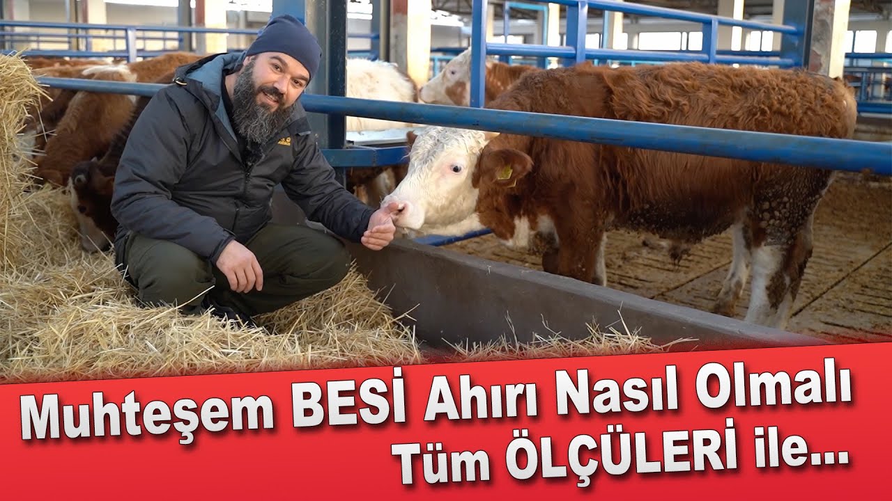 HARİKA BESİ AHIRI NASIL OLMALI