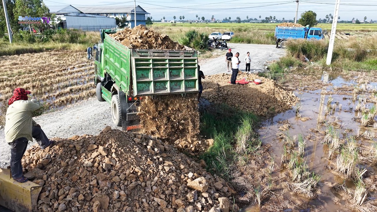 Best Skill Filling Land Project Using Bulldozer And Team Dump Trucks Operation