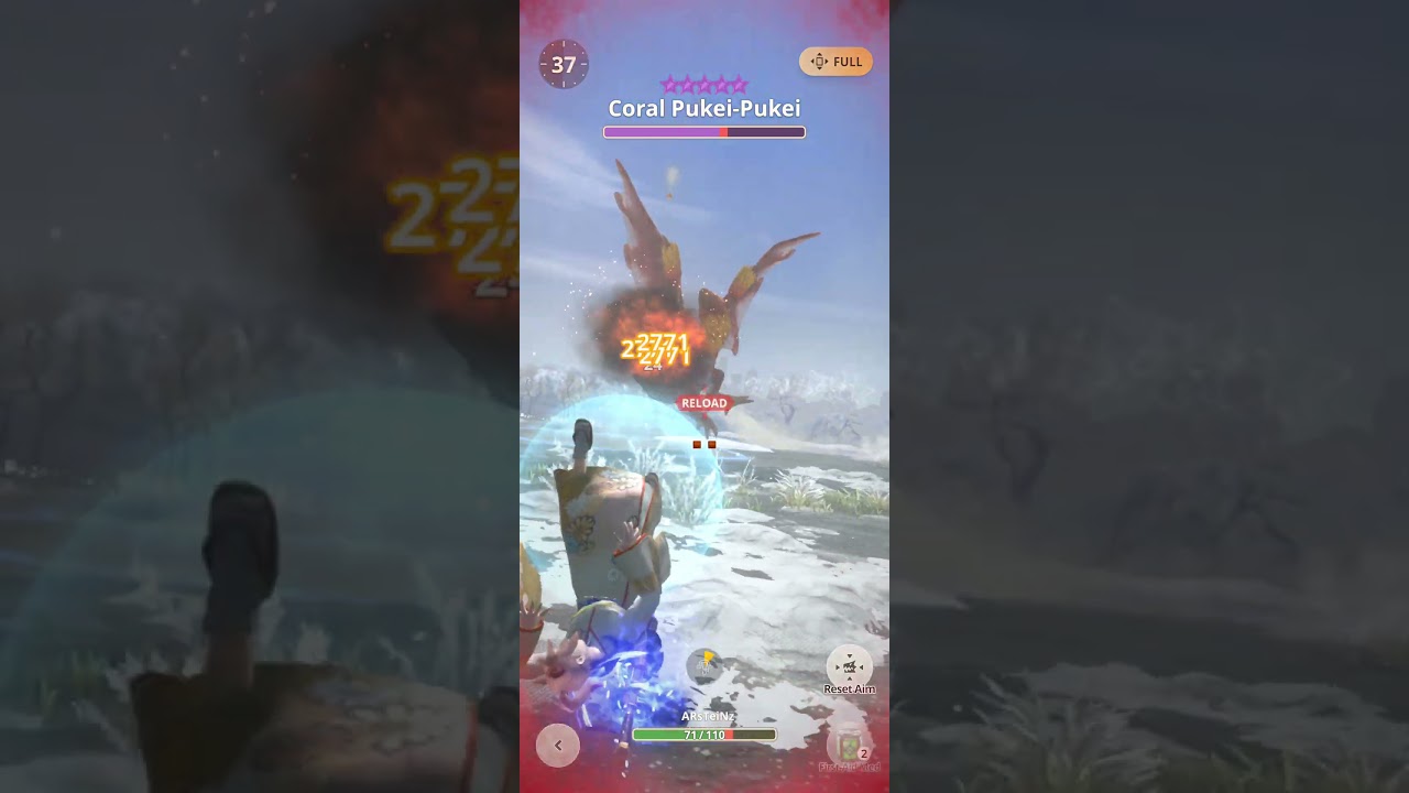 10 Star Coral Pukei-Pukei vs Magnamalo LBG 