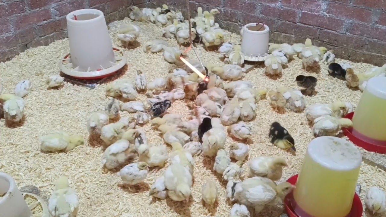 مع الشتا لازم روتين النضافه