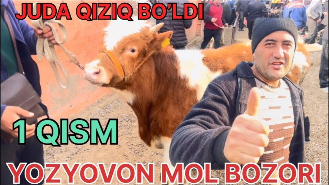 YOZYOVON MOL BOZORI ❤️😱👍ОБУНА БУЛИШНИ УНУТМАНГ КАДИРДОНИМ 