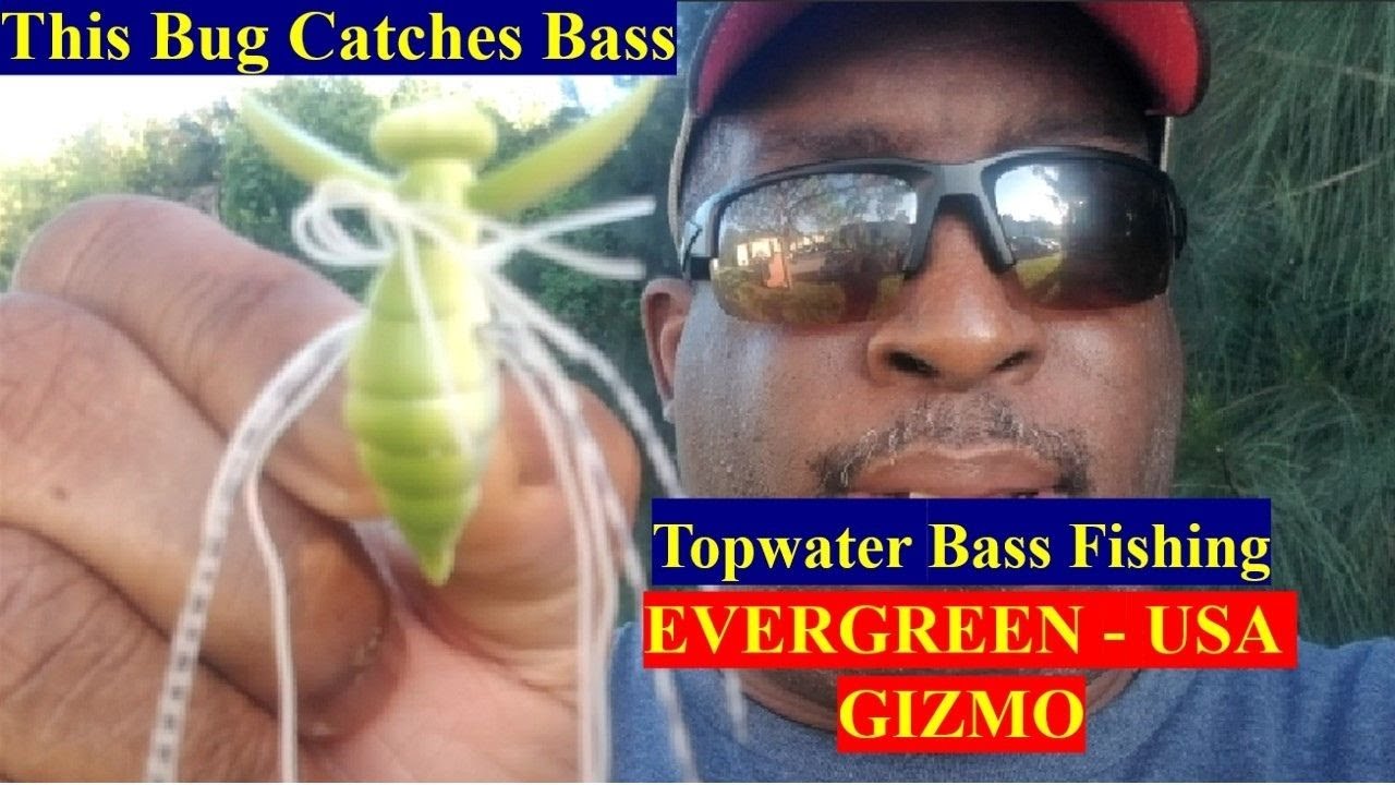 Bass Fishing Evergreen USA Gizmo | This Bug Catches Bass