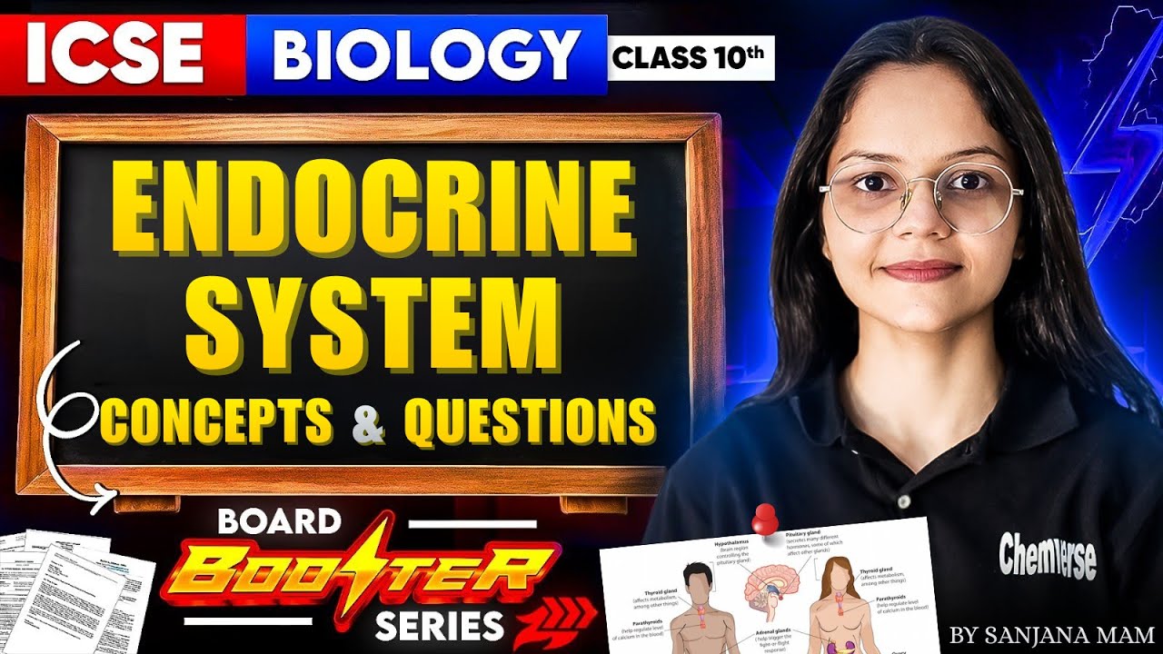Endocrine System Concepts & Questions | ICSE Biology Class 10th | Board Booster Series | #biology