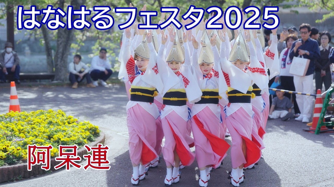 【阿波踊り2025】はなはるフェスタ2025　阿波おどり　阿呆連