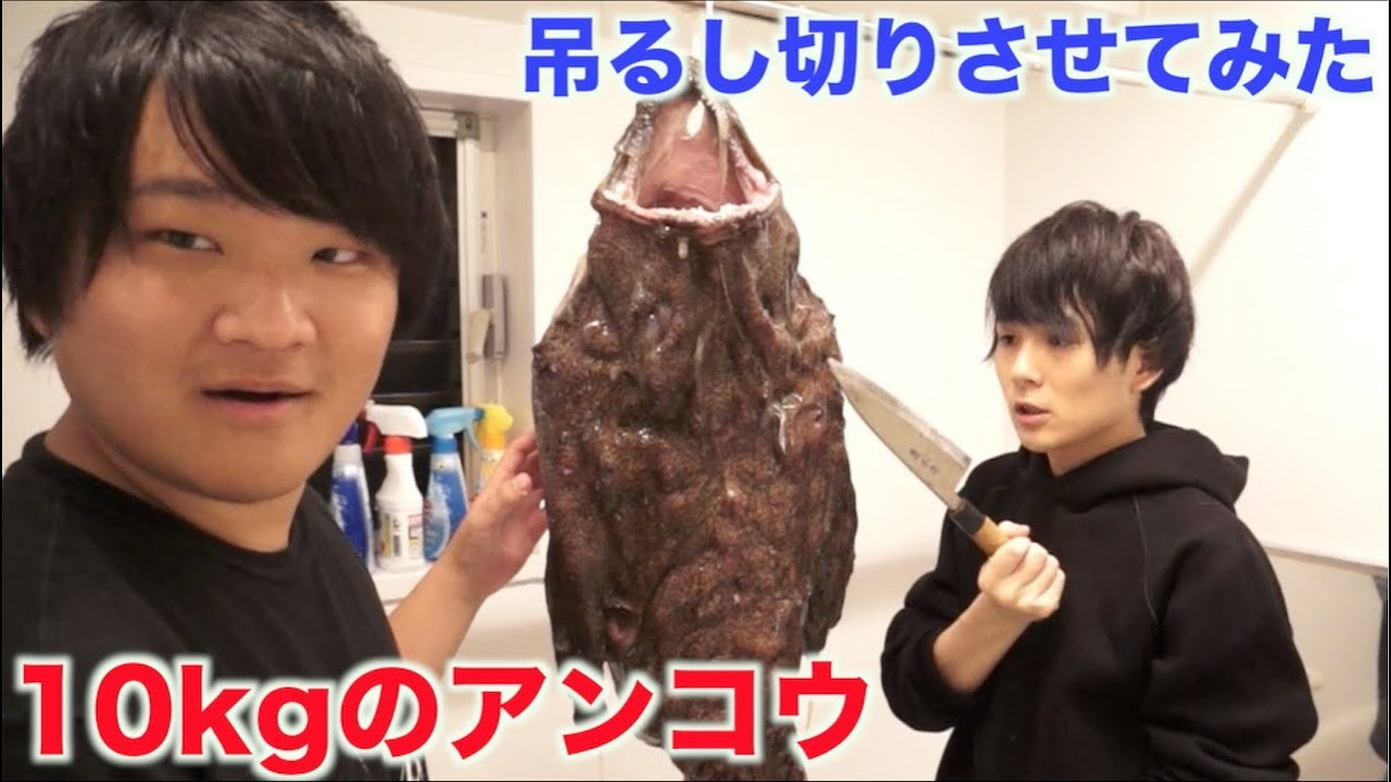 マホトに10kgのアンコウの吊るし切りさせてみた！！