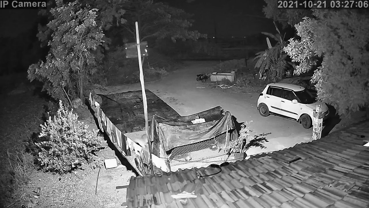 #Tiger/#Leopard 🐆 Caught In Camera At Ganore with Clearly Visible At night
