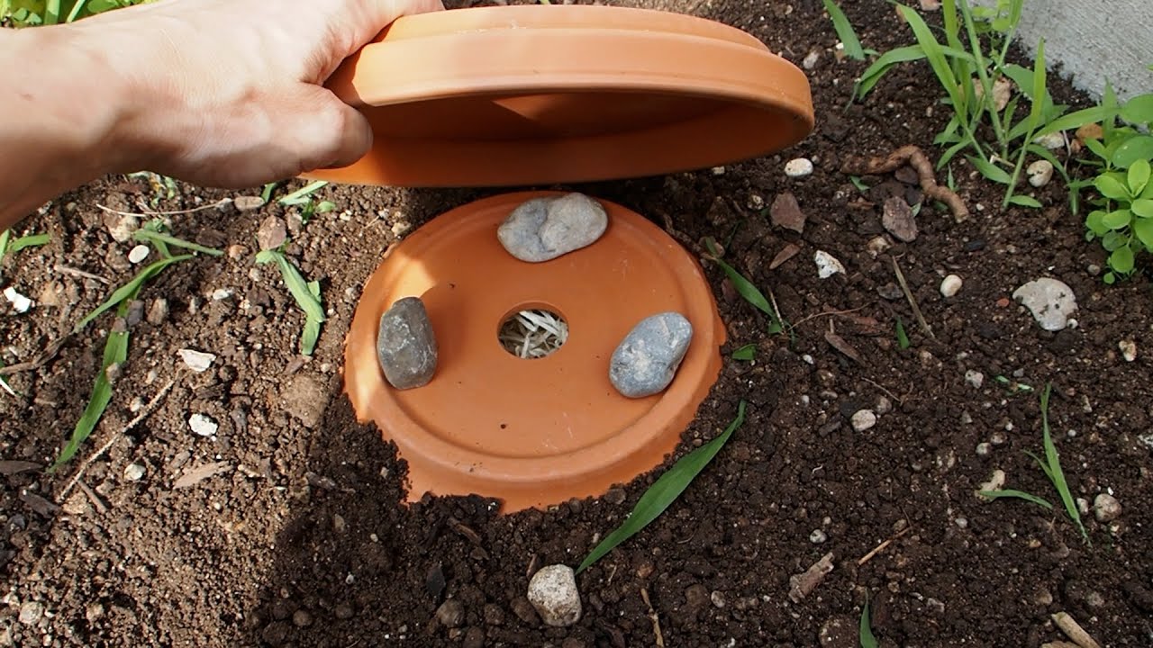 How to make a Bumble Bee Hotel!