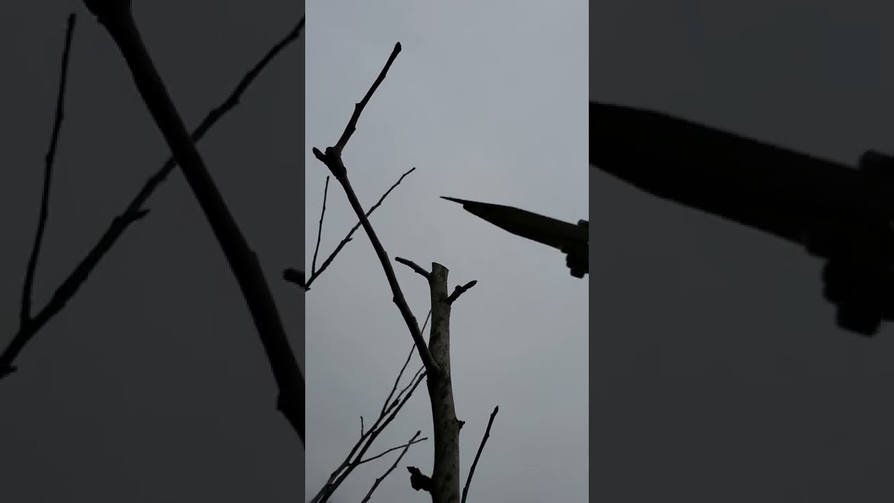 Removing a double central leader