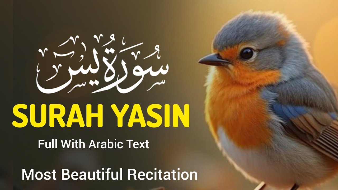 Surah Yasin ( Yaseen). سورہ یاسن. By Qari  Mansoor ghaznawi .  Will touch your heart  in sha Allah