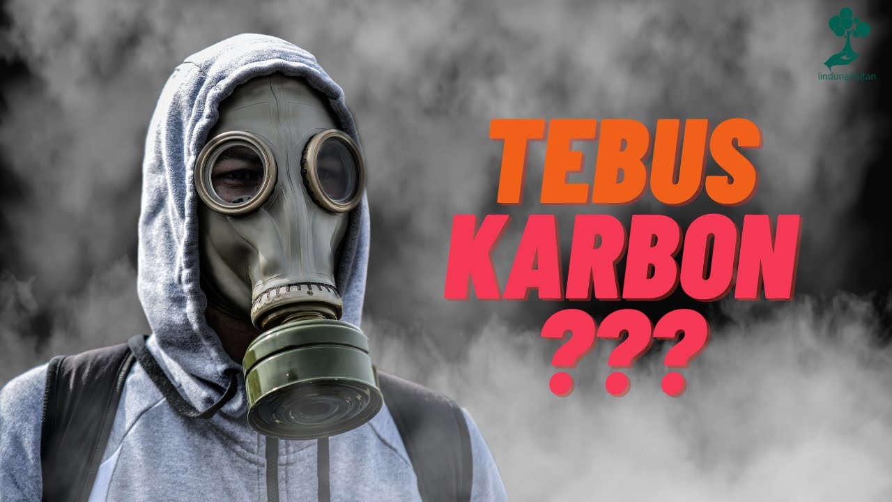 Apa itu Carbon Offset? Salah Satu Cara Tebus Emisi Karbon yang Kita Hasilkan