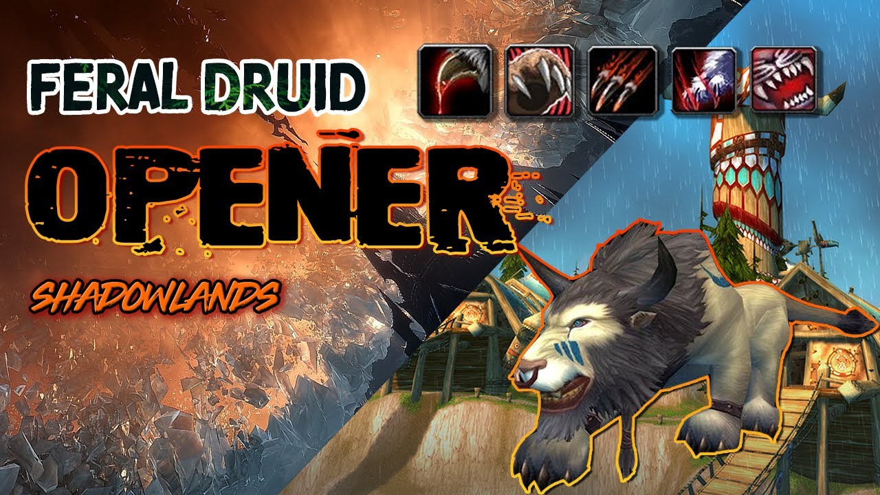 Feral Druid OPENER | BIG burst | Shadowlands PVP