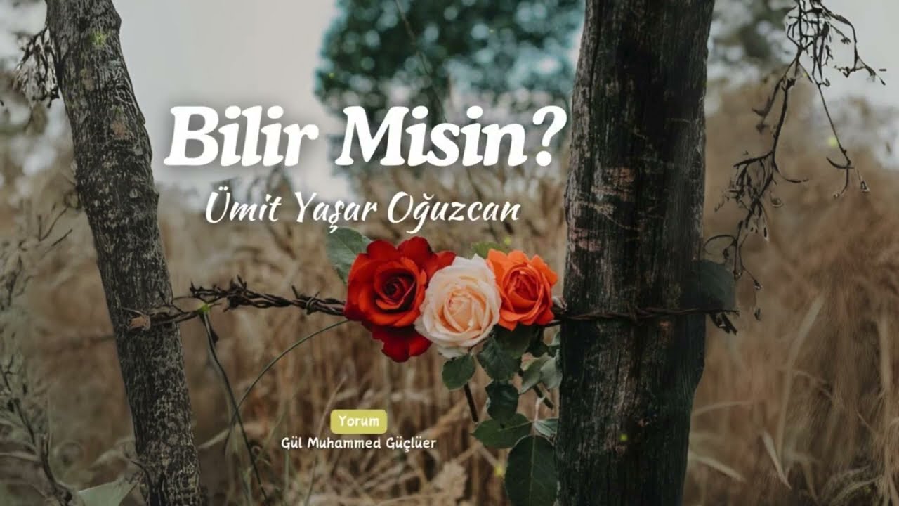 Ümit Yaşar Oğuzcan | Bilir Misin | Şiir