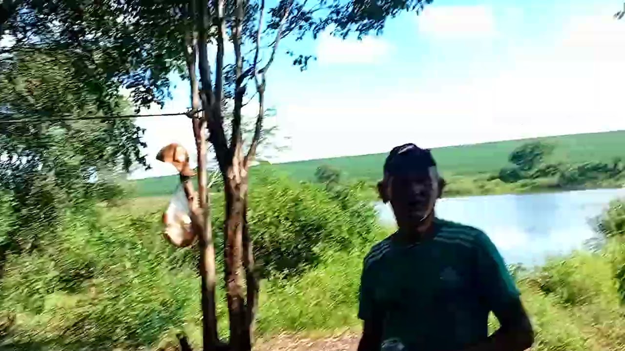 Pescaria raiz em busca das traíras.