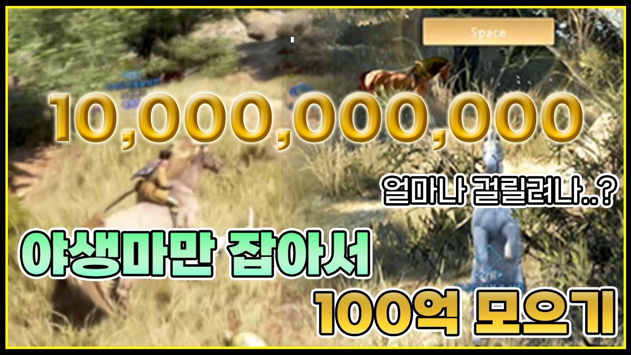 야생마만 잡아서 100억 모으기#100억컨텐츠