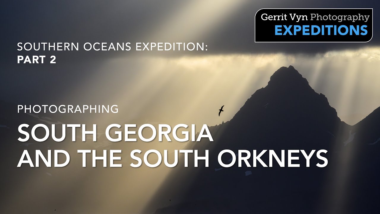 Photographing South Georgia, King Penguins and South Orkney Islands || Antarctica Expedition Part 2