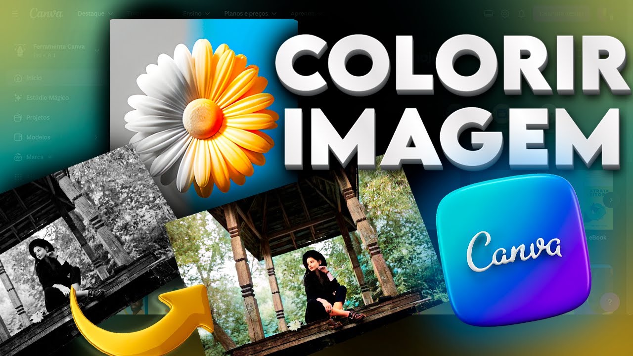 Como colorir suas imagens no Canva