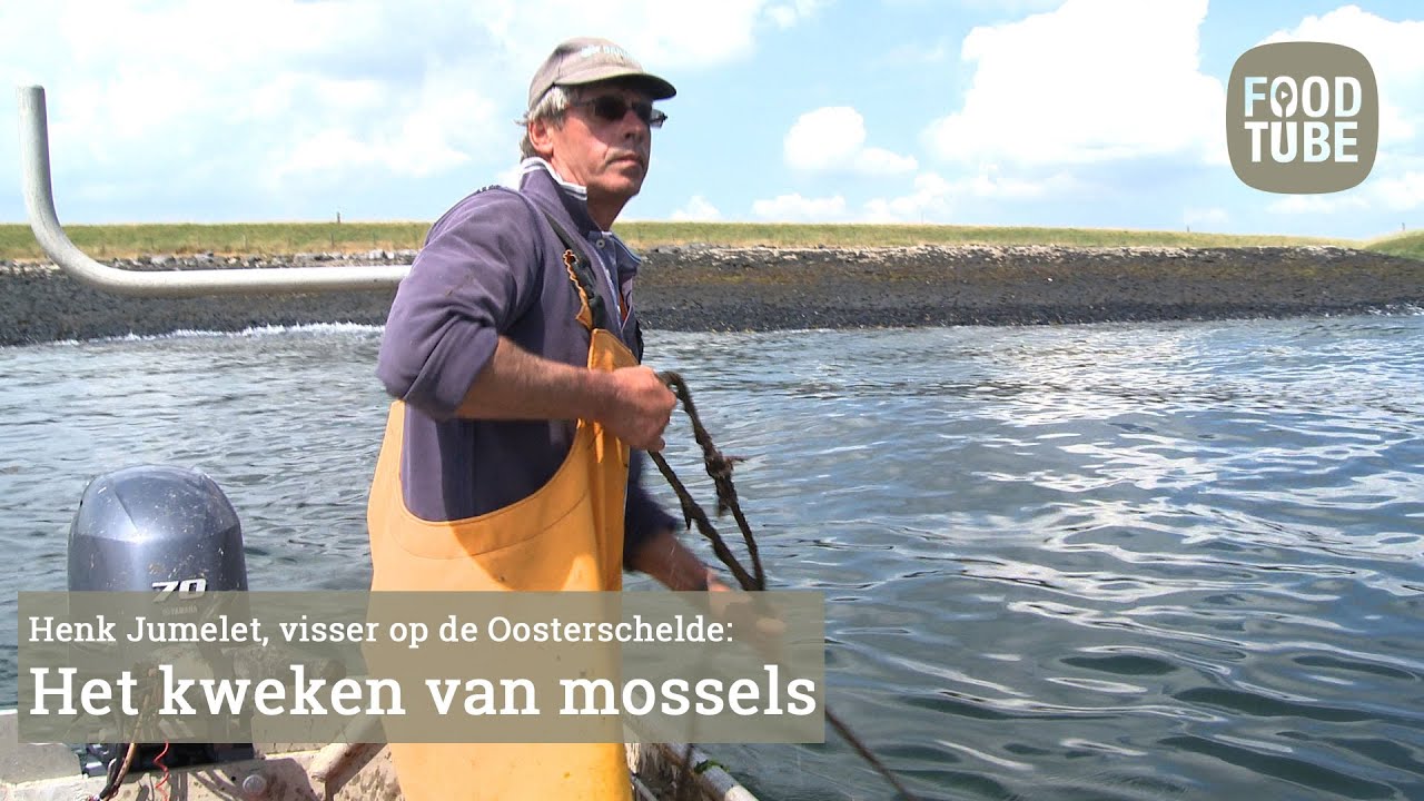 Henk Jumelet over de mosselbusiness