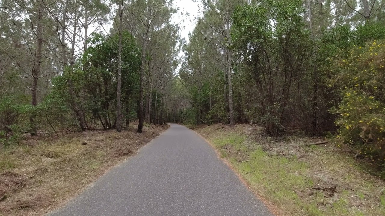 Vidéo de vélo sur piste cyclable du Cap Ferret pour entraînement 15 minutes (partie 1/2)