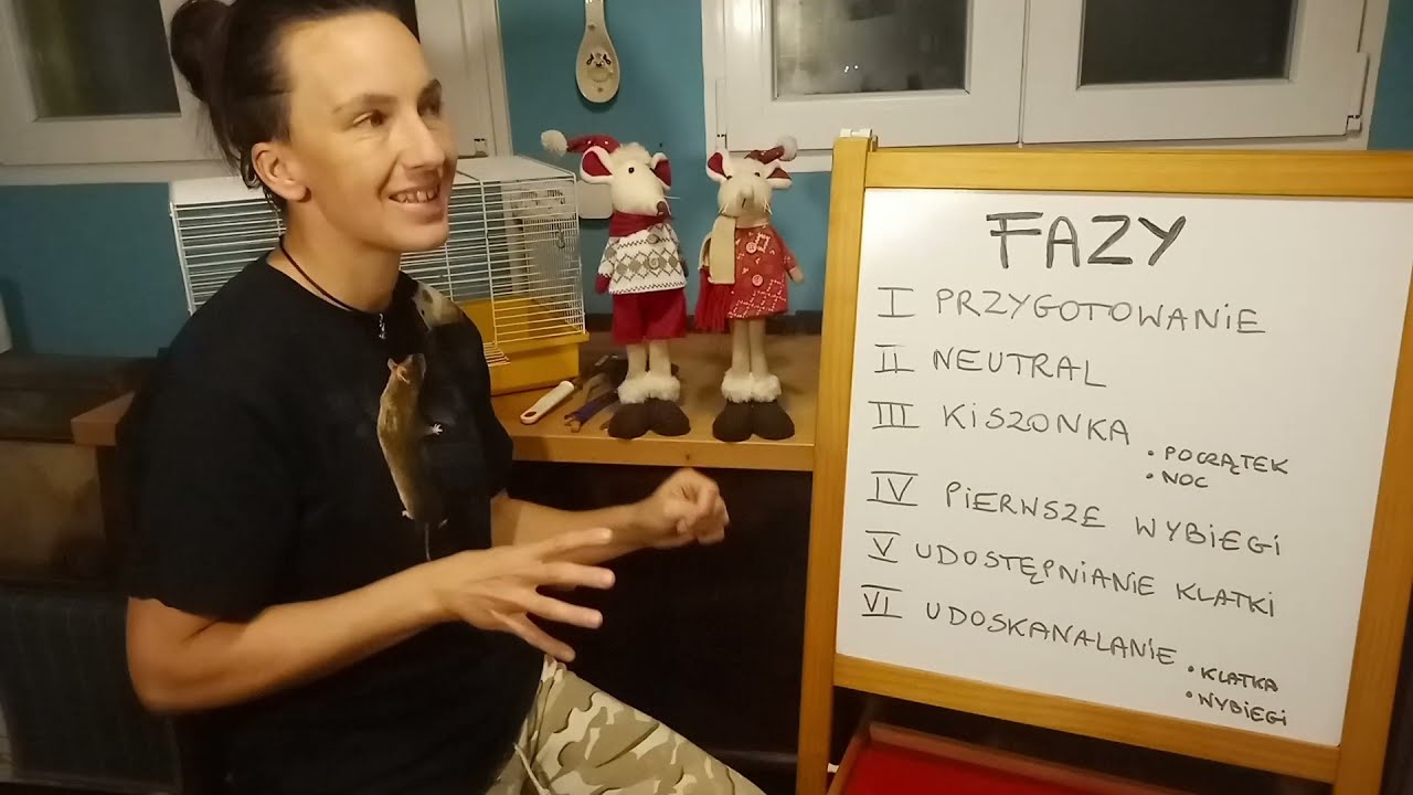 Błędy łączeniowe. Na co zwrócić uwagę w czasie łączenia szczurów?