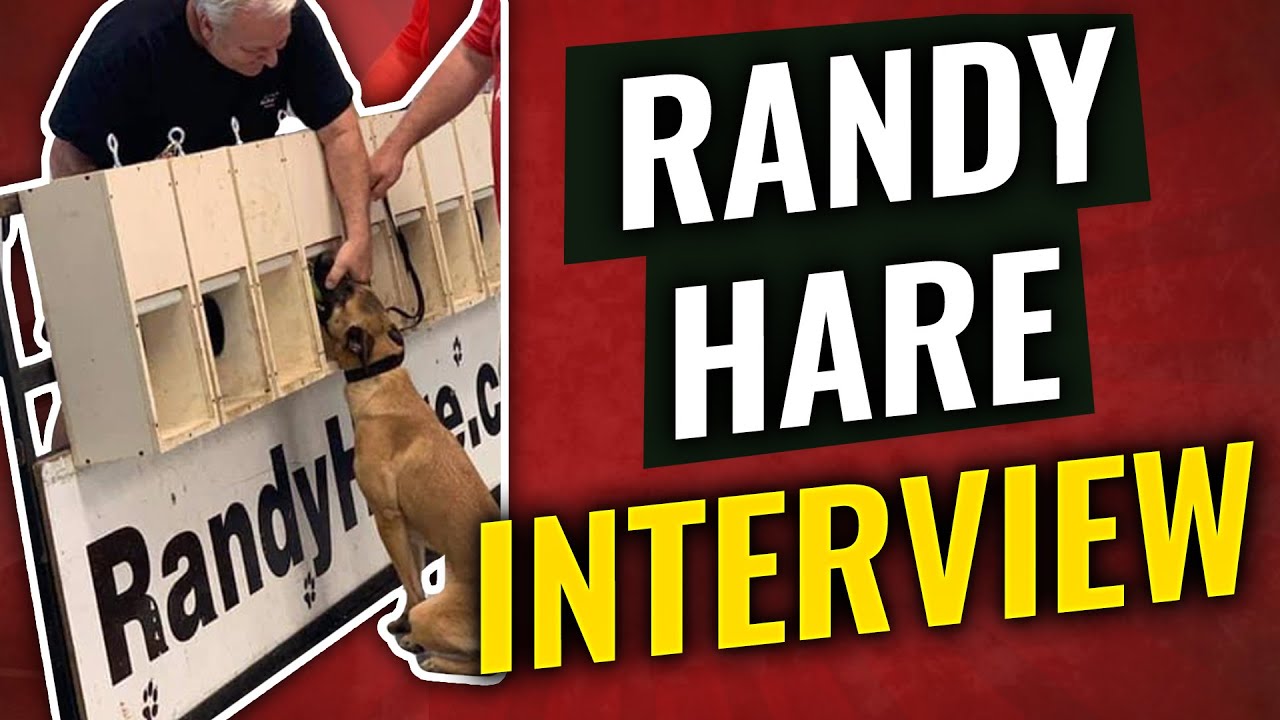 Randy Hare interview