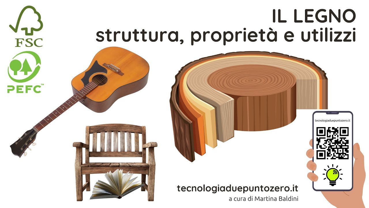 Il legno Utilizzi Proprietà e struttura