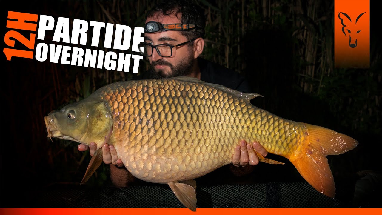 Pescuit la crap vara, in partide rapide - lacul Floarea Popestiului