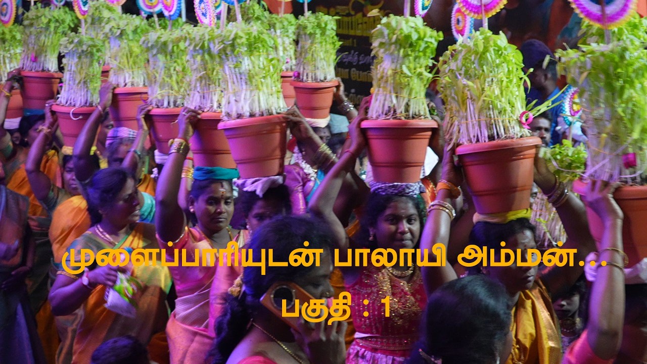முளைப்பாரியுடன் பாலாயி அம்மன் பகுதி 1 | காந்தி நகர் புதுக்கோட்டை
