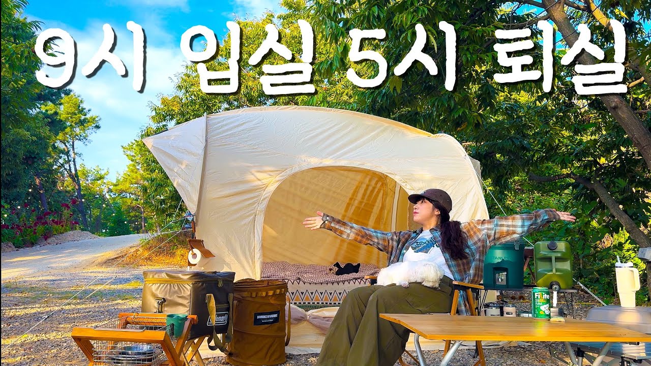 찐가을캠핑🌰🍂ㅣ32시간 놀고 먹을수 있는 캠핑장ㅣ솔로캠핑ㅣ애견동반캠핑ㅣ파주캠핑장