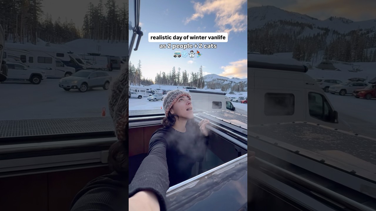 Realistic day of Winter Vanlife 🥶❄️🎿#winter #wintervanlife #cold #snow #skiing