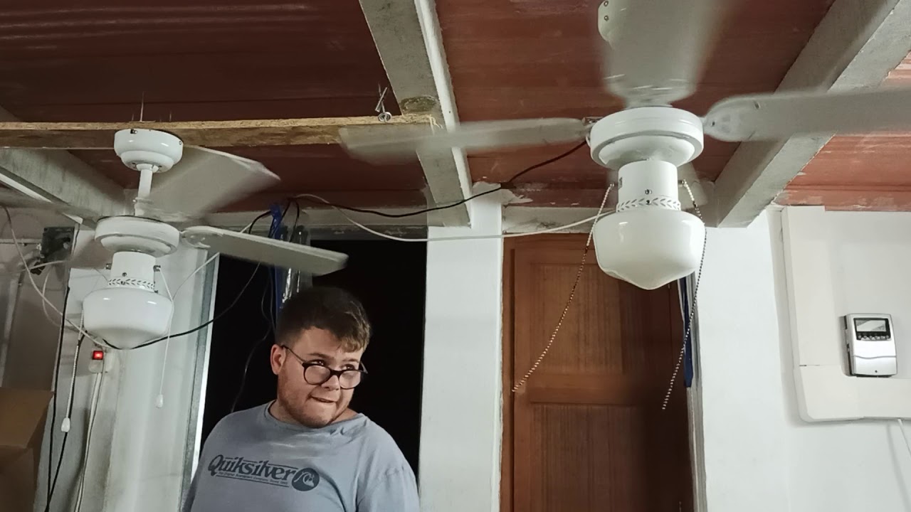 2011 Inspire Barbade Ventilador de techo (2 unidades)