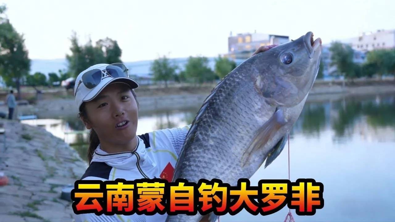 云南蒙自钓大罗非 到底是野钓好还是黑坑好？换做是你会怎么选择？#游钓黑坑 #罗非鱼 #云南 #钓鱼 #爱生活爱钓鱼